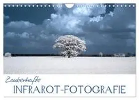 CALVENDO / Langenkamp |  Zauberhafte Infrarot-Fotografie (Wandkalender 2025 DIN A4 quer), CALVENDO Monatskalender | Sonstiges |  Sack Fachmedien