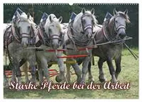 CALVENDO / Lindert-Rottke |  Starke Pferde bei der Arbeit (Wandkalender 2025 DIN A2 quer), CALVENDO Monatskalender | Sonstiges |  Sack Fachmedien
