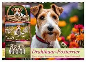 CALVENDO / Kleemann |  Drahthaar-Foxterrier (Wandkalender 2025 DIN A2 quer), CALVENDO Monatskalender | Sonstiges |  Sack Fachmedien