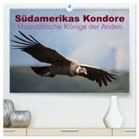 CALVENDO / Bob |  Südamerikas Kondore - Majestätische Könige der Anden (hochwertiger Premium Wandkalender 2025 DIN A2 quer), Kunstdruck in Hochglanz | Sonstiges |  Sack Fachmedien