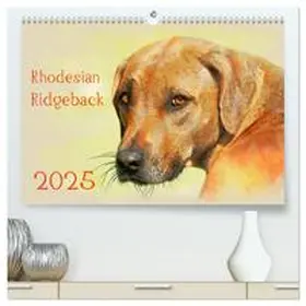 CALVENDO / Redecker |  Rhodesian Ridgeback 2025 (hochwertiger Premium Wandkalender 2025 DIN A2 quer), Kunstdruck in Hochglanz | Sonstiges |  Sack Fachmedien