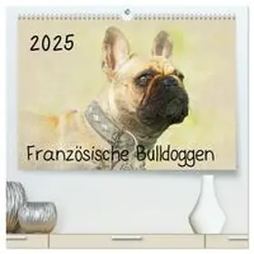 CALVENDO / Redecker |  Französische Bulldoggen 2025 (hochwertiger Premium Wandkalender 2025 DIN A2 quer), Kunstdruck in Hochglanz | Sonstiges |  Sack Fachmedien