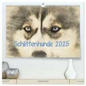 CALVENDO / Redecker |  Schlittenhunde 2025 (hochwertiger Premium Wandkalender 2025 DIN A2 quer), Kunstdruck in Hochglanz | Sonstiges |  Sack Fachmedien