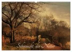 CALVENDO / RavenArt |  Sehnsucht der Natur (Wandkalender 2025 DIN A2 quer), CALVENDO Monatskalender | Sonstiges |  Sack Fachmedien