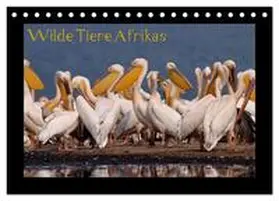 CALVENDO / Depner |  Wilde Tiere Afrikas (Tischkalender 2025 DIN A5 quer), CALVENDO Monatskalender | Sonstiges |  Sack Fachmedien