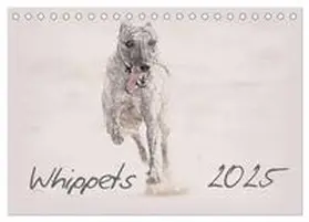 CALVENDO / Redecker | Whippet 2025 (Tischkalender 2025 DIN A5 quer), CALVENDO Monatskalender | Sonstiges | 978-3-435-70134-6 | www.sack.de