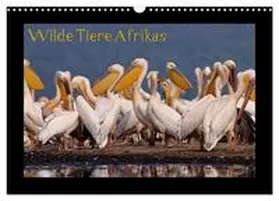 CALVENDO / Depner | Wilde Tiere Afrikas (Wandkalender 2025 DIN A3 quer), CALVENDO Monatskalender | Sonstiges | 978-3-435-70209-1 | www.sack.de