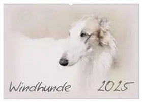 CALVENDO / Redecker |  Windhunde 2025 (Wandkalender 2025 DIN A2 quer), CALVENDO Monatskalender | Sonstiges |  Sack Fachmedien