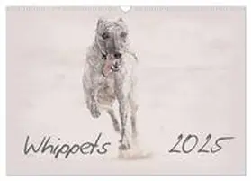 CALVENDO / Redecker | Whippet 2025 (Wandkalender 2025 DIN A3 quer), CALVENDO Monatskalender | Sonstiges | 978-3-435-70227-5 | www.sack.de