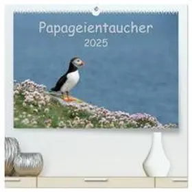 CALVENDO / Leimer |  Papageientaucher 2025 (hochwertiger Premium Wandkalender 2025 DIN A2 quer), Kunstdruck in Hochglanz | Sonstiges |  Sack Fachmedien