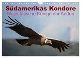 CALVENDO / Bob |  Südamerikas Kondore - Majestätische Könige der Anden (Wandkalender 2025 DIN A4 quer), CALVENDO Monatskalender | Sonstiges |  Sack Fachmedien