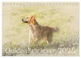 CALVENDO / Redecker |  Golden Retriever 2025 (Tischkalender 2025 DIN A5 quer), CALVENDO Monatskalender | Sonstiges |  Sack Fachmedien