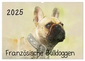 CALVENDO / Redecker |  Französische Bulldoggen 2025 (Wandkalender 2025 DIN A2 quer), CALVENDO Monatskalender | Sonstiges |  Sack Fachmedien