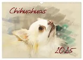 CALVENDO / Redecker |  Chihuahuas 2025 (Wandkalender 2025 DIN A3 quer), CALVENDO Monatskalender | Sonstiges |  Sack Fachmedien