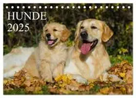 CALVENDO / Starick |  Hunde - Treue Freunde für´s Leben (Tischkalender 2025 DIN A5 quer), CALVENDO Monatskalender | Sonstiges |  Sack Fachmedien