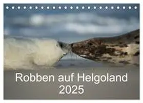 CALVENDO / Leimer |  Robben auf Helgoland 2025 (Tischkalender 2025 DIN A5 quer), CALVENDO Monatskalender | Sonstiges |  Sack Fachmedien