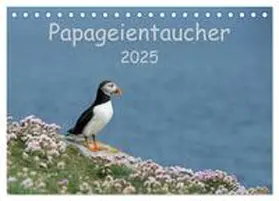 CALVENDO / Leimer |  Papageientaucher 2025 (Tischkalender 2025 DIN A5 quer), CALVENDO Monatskalender | Sonstiges |  Sack Fachmedien
