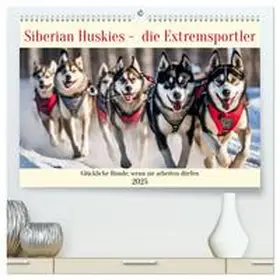 CALVENDO / Kleemann |  Siberian Huskies - die Extremsportler (hochwertiger Premium Wandkalender 2025 DIN A2 quer), Kunstdruck in Hochglanz | Sonstiges |  Sack Fachmedien