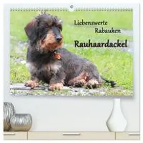 CALVENDO / Mielewczyk |  Liebenswerte Rabauken Rauhaardackel / CH-Version (hochwertiger Premium Wandkalender 2025 DIN A2 quer), Kunstdruck in Hochglanz | Sonstiges |  Sack Fachmedien