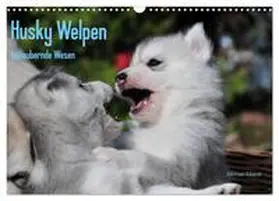 CALVENDO / Ebardt |  Husky Welpen (Wandkalender 2025 DIN A3 quer), CALVENDO Monatskalender | Sonstiges |  Sack Fachmedien