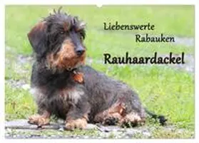CALVENDO / Mielewczyk |  Liebenswerte Rabauken Rauhaardackel / CH-Version (Wandkalender 2025 DIN A2 quer), CALVENDO Monatskalender | Sonstiges |  Sack Fachmedien