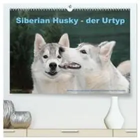CALVENDO / Ebardt |  Siberian Husky - der Urtyp (hochwertiger Premium Wandkalender 2025 DIN A2 quer), Kunstdruck in Hochglanz | Sonstiges |  Sack Fachmedien