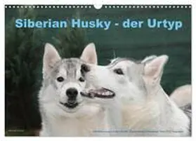 CALVENDO / Ebardt |  Siberian Husky - der Urtyp (Wandkalender 2025 DIN A3 quer), CALVENDO Monatskalender | Sonstiges |  Sack Fachmedien