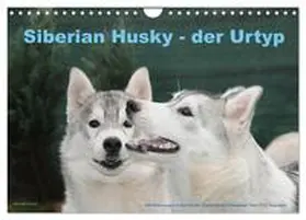 CALVENDO / Ebardt |  Siberian Husky - der Urtyp (Wandkalender 2025 DIN A4 quer), CALVENDO Monatskalender | Sonstiges |  Sack Fachmedien