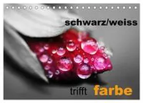 CALVENDO / Kaden |  schwarz/weiß trifft farbe (Tischkalender 2025 DIN A5 quer), CALVENDO Monatskalender | Sonstiges |  Sack Fachmedien