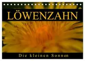 CALVENDO / Kaden |  Löwenzahn - Die kleinen Sonnen (Tischkalender 2025 DIN A5 quer), CALVENDO Monatskalender | Sonstiges |  Sack Fachmedien
