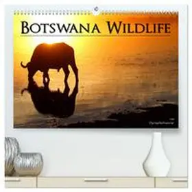 CALVENDO / Hofmeister |  Botswana Wildlife (hochwertiger Premium Wandkalender 2025 DIN A2 quer), Kunstdruck in Hochglanz | Sonstiges |  Sack Fachmedien