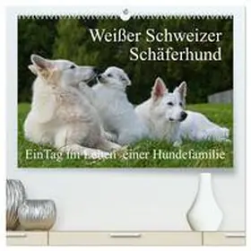 CALVENDO / Starick |  Weißer Schweizer Schäferhund - Ein Tag im Leben einer Hundefamilie (hochwertiger Premium Wandkalender 2025 DIN A2 quer), Kunstdruck in Hochglanz | Sonstiges |  Sack Fachmedien