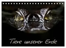 CALVENDO / Lehmann |  Tiere unserer Erde (Tischkalender 2025 DIN A5 quer), CALVENDO Monatskalender | Sonstiges |  Sack Fachmedien