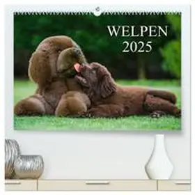 CALVENDO / Starick |  Welpen 2025 (hochwertiger Premium Wandkalender 2025 DIN A2 quer), Kunstdruck in Hochglanz | Sonstiges |  Sack Fachmedien