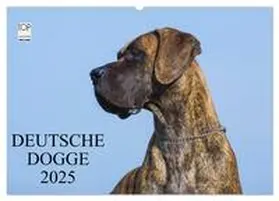 CALVENDO / Starick |  Deutsche Dogge 2025 (Wandkalender 2025 DIN A2 quer), CALVENDO Monatskalender | Sonstiges |  Sack Fachmedien