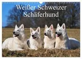 CALVENDO / Starick |  Weißer Schweizer Schäferhund (Wandkalender 2025 DIN A3 quer), CALVENDO Monatskalender | Sonstiges |  Sack Fachmedien
