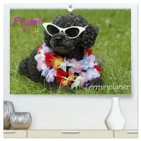 CALVENDO / Lindert-Rottke |  Pudel en vogue - Terminplaner (hochwertiger Premium Wandkalender 2025 DIN A2 quer), Kunstdruck in Hochglanz | Sonstiges |  Sack Fachmedien