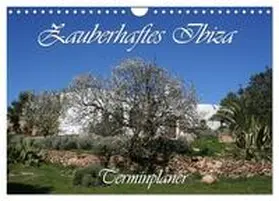 CALVENDO / Lindert-Rottke |  Zauberhaftes Ibiza - Terminplaner (Wandkalender 2025 DIN A4 quer), CALVENDO Monatskalender | Sonstiges |  Sack Fachmedien