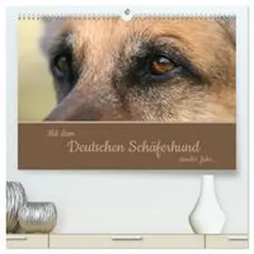 CALVENDO / Steininger |  Mit dem Deutschen Schäferhund durch's Jahr (hochwertiger Premium Wandkalender 2025 DIN A2 quer), Kunstdruck in Hochglanz | Sonstiges |  Sack Fachmedien