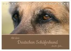 CALVENDO / Steininger |  Mit dem Deutschen Schäferhund durch's Jahr (Tischkalender 2025 DIN A5 quer), CALVENDO Monatskalender | Sonstiges |  Sack Fachmedien
