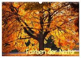 CALVENDO / Gräbner |  Farben der Natur (Wandkalender 2025 DIN A3 quer), CALVENDO Monatskalender | Sonstiges |  Sack Fachmedien
