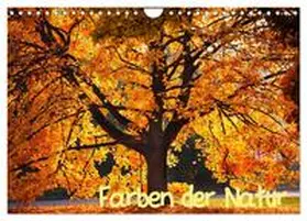 CALVENDO / Gräbner |  Farben der Natur (Wandkalender 2025 DIN A4 quer), CALVENDO Monatskalender | Sonstiges |  Sack Fachmedien