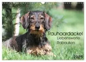 CALVENDO / Mielewczyk |  Liebenswerte Rabauken - Rauhaardackel (Wandkalender 2025 DIN A3 quer), CALVENDO Monatskalender | Sonstiges |  Sack Fachmedien