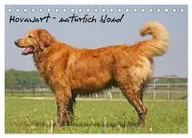 CALVENDO / Mielewczyk | Hovawart - natürlich blond (Tischkalender 2025 DIN A5 quer), CALVENDO Monatskalender | Sonstiges | 978-3-435-79006-7 | www.sack.de
