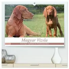 CALVENDO / Mielewczyk |  Magyar Vizsla - Vielseitiger Jagdhund mit Familienanschluss (hochwertiger Premium Wandkalender 2025 DIN A2 quer), Kunstdruck in Hochglanz | Sonstiges |  Sack Fachmedien