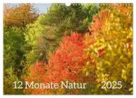 CALVENDO / Schmidt | 12 Monate Natur (Wandkalender 2025 DIN A3 quer), CALVENDO Monatskalender | Sonstiges | 978-3-435-80708-6 | www.sack.de