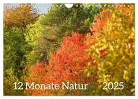 CALVENDO / Schmidt |  12 Monate Natur (Wandkalender 2025 DIN A4 quer), CALVENDO Monatskalender | Sonstiges |  Sack Fachmedien