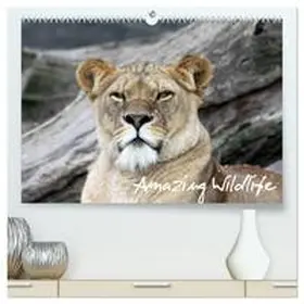 CALVENDO / Hebbel-Seeger |  Amazing Wildlife (hochwertiger Premium Wandkalender 2025 DIN A2 quer), Kunstdruck in Hochglanz | Sonstiges |  Sack Fachmedien