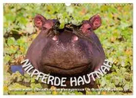 CALVENDO / Gerlach GDT |  Emotionale Momente: Nilpferde hautnah (Wandkalender 2025 DIN A3 quer), CALVENDO Monatskalender | Sonstiges |  Sack Fachmedien