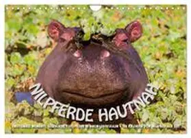 CALVENDO / Gerlach GDT |  Emotionale Momente: Nilpferde hautnah (Wandkalender 2025 DIN A4 quer), CALVENDO Monatskalender | Sonstiges |  Sack Fachmedien